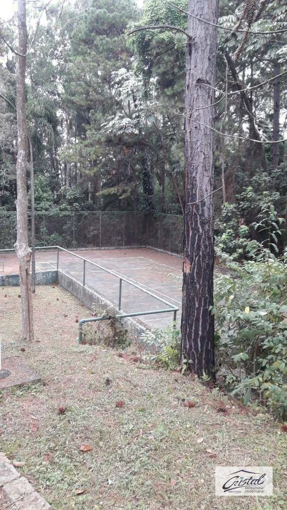 Terreno, 4 hectares - Foto 7