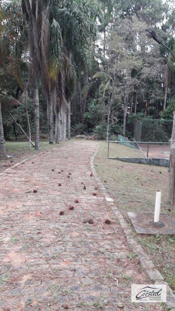 Terreno, 4 hectares - Foto 19