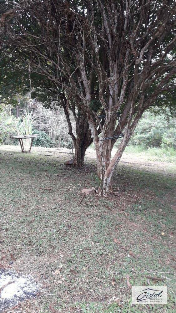 Terreno, 4 hectares - Foto 11