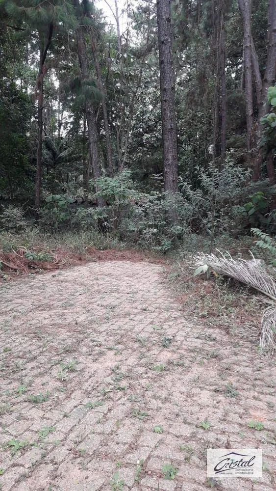 Terreno, 4 hectares - Foto 3