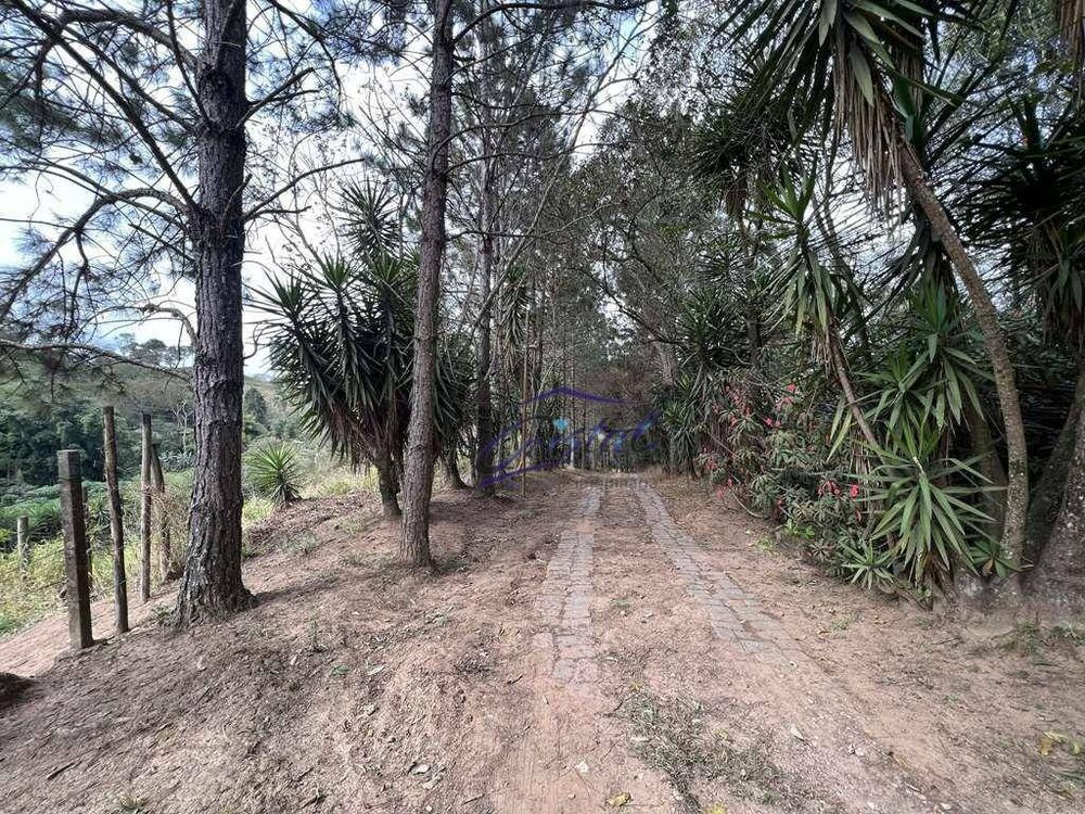 Terreno, 2 hectares - Foto 4