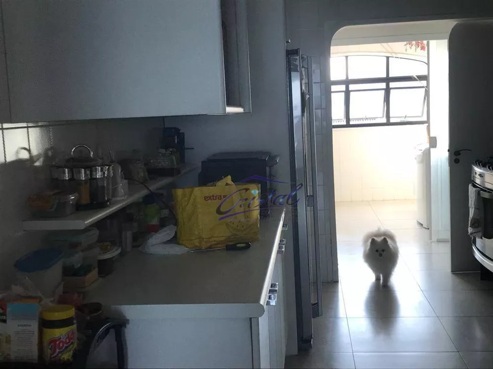 Apartamento, 3 quartos, 175 m² - Foto 8