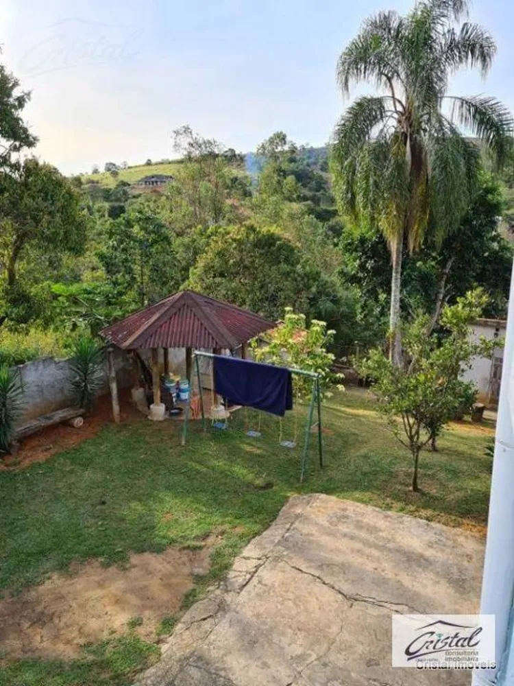 Sítio, 3 quartos, 3300 m² - Foto 9