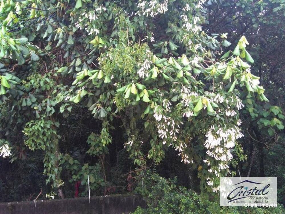 Casa, 3 quartos, 300 m² - Foto 13