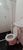 Casa, 1 quarto, 35 m² - Foto 5