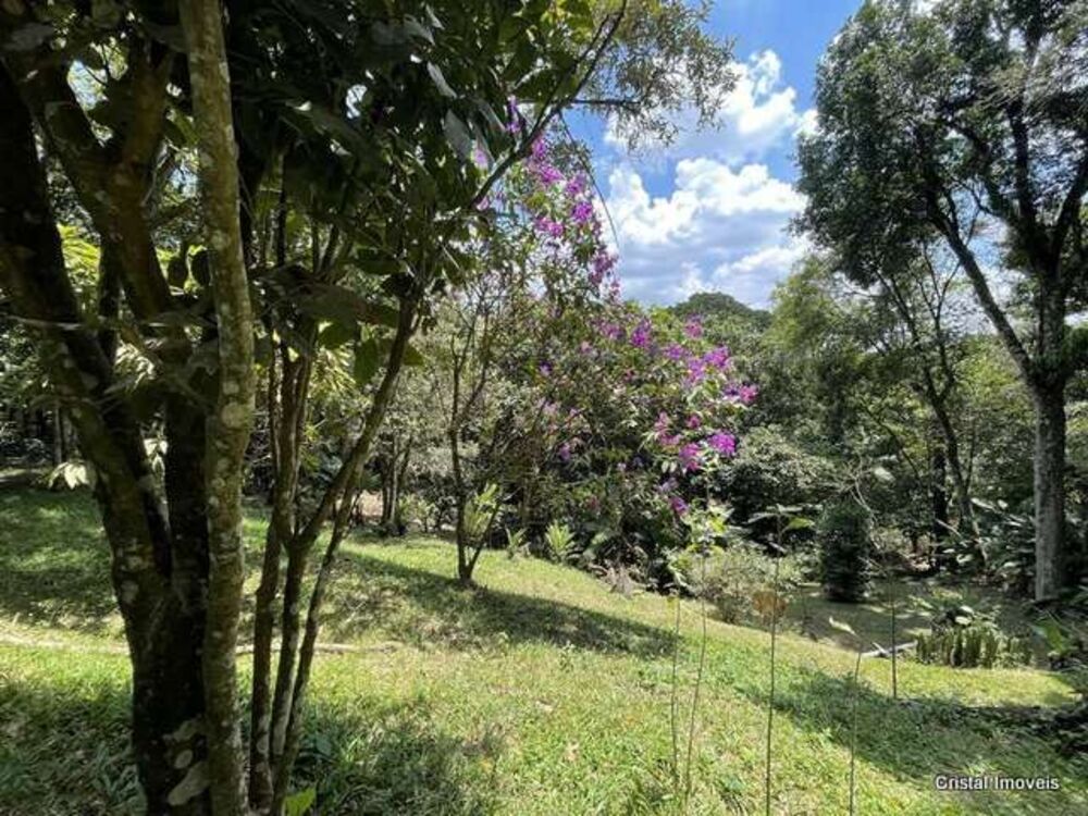 Chácara, 4 quartos, 2 hectares - Foto 4
