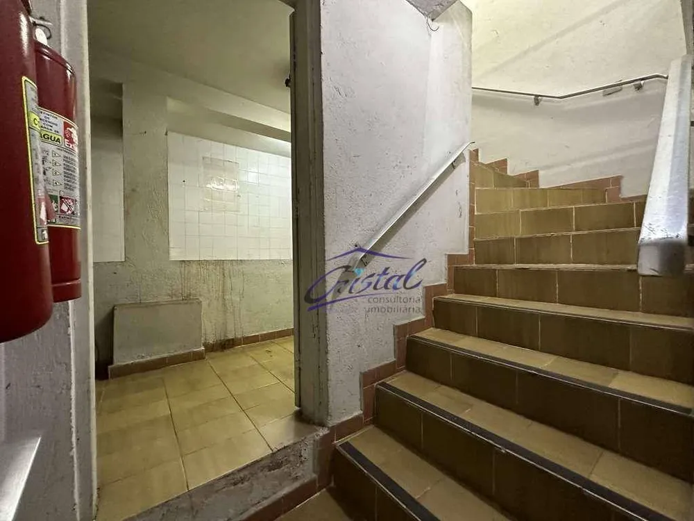 Casa, 3 quartos, 490 m² - Foto 11