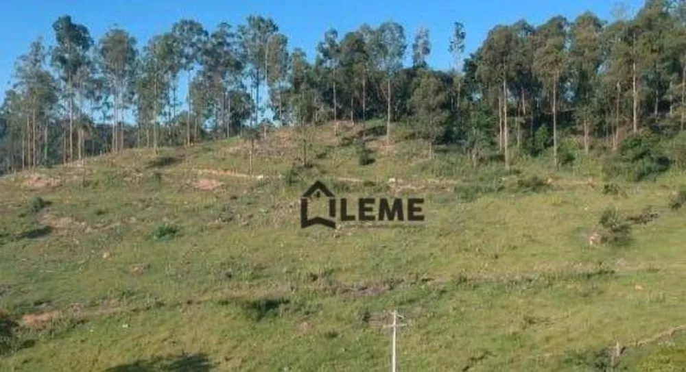 Fazenda, 126 hectares - Foto 8