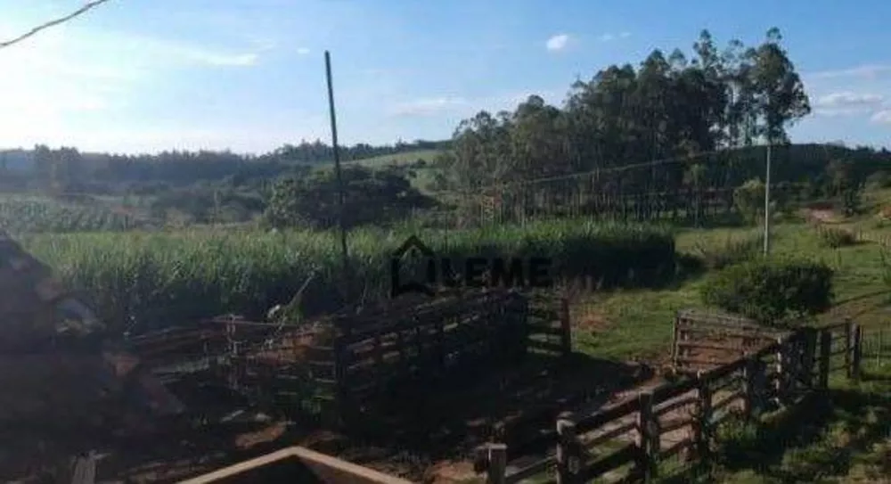 Fazenda, 126 hectares - Foto 5