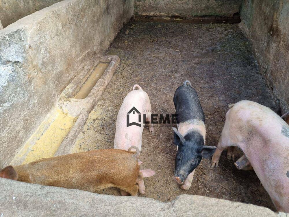 Sítio, 2 quartos, 16 hectares - Foto 48