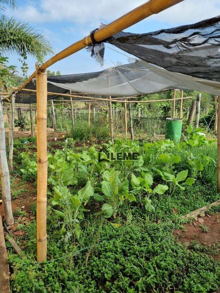 Sítio, 2 quartos, 16 hectares - Foto 20