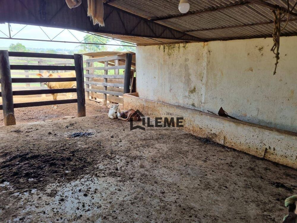 Sítio, 2 quartos, 16 hectares - Foto 57