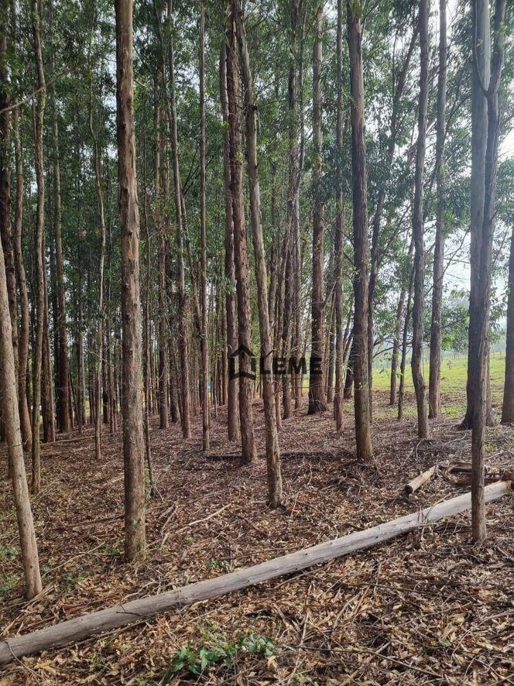 Sítio, 2 quartos, 16 hectares - Foto 54