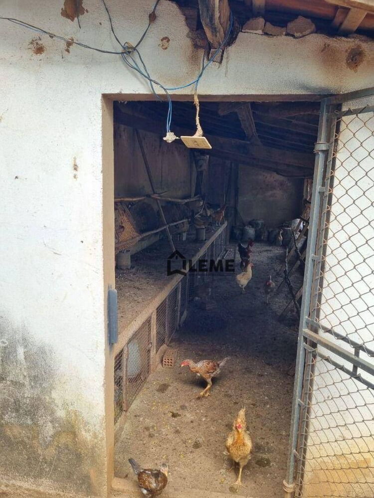 Sítio, 2 quartos, 16 hectares - Foto 38