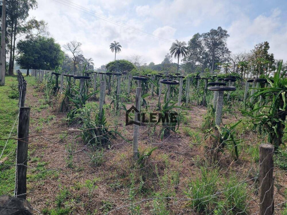 Sítio, 2 quartos, 16 hectares - Foto 27