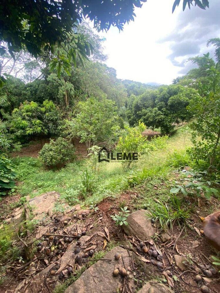 Chácara à venda com 3 quartos, 270m² - Foto 4