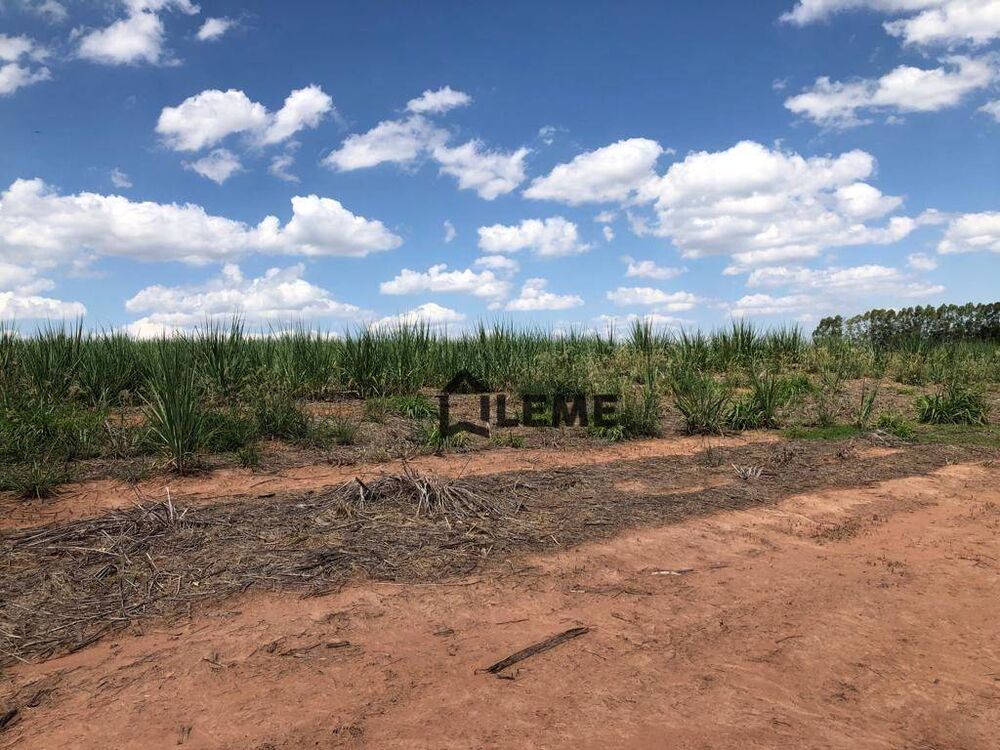 Fazenda, 27 hectares - Foto 12