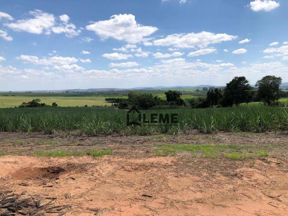 Fazenda, 27 hectares - Foto 5