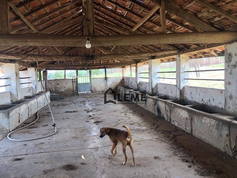 Fazenda, 27 hectares - Foto 10