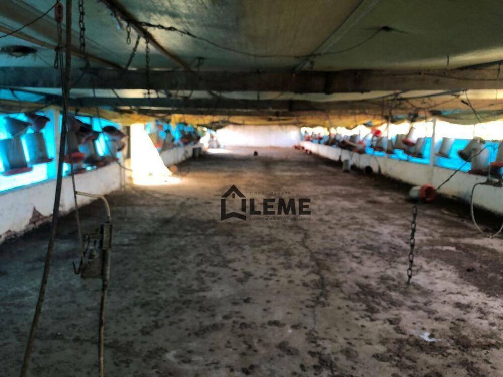 Fazenda, 27 hectares - Foto 9