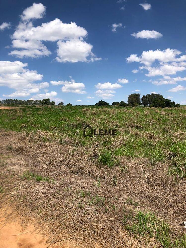 Fazenda, 27 hectares - Foto 16