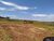 Fazenda, 42 hectares - Foto 3
