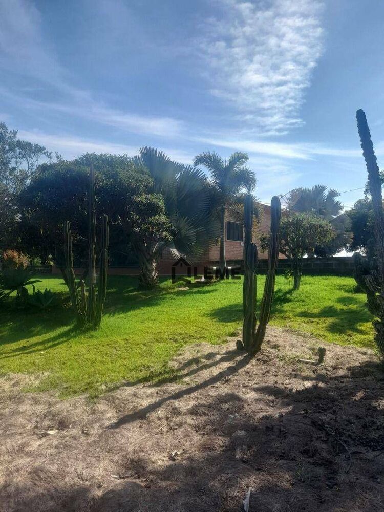 Sítio, 4 hectares - Foto 7