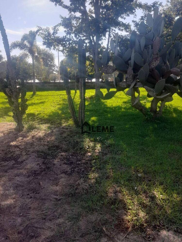 Sítio, 4 hectares - Foto 8