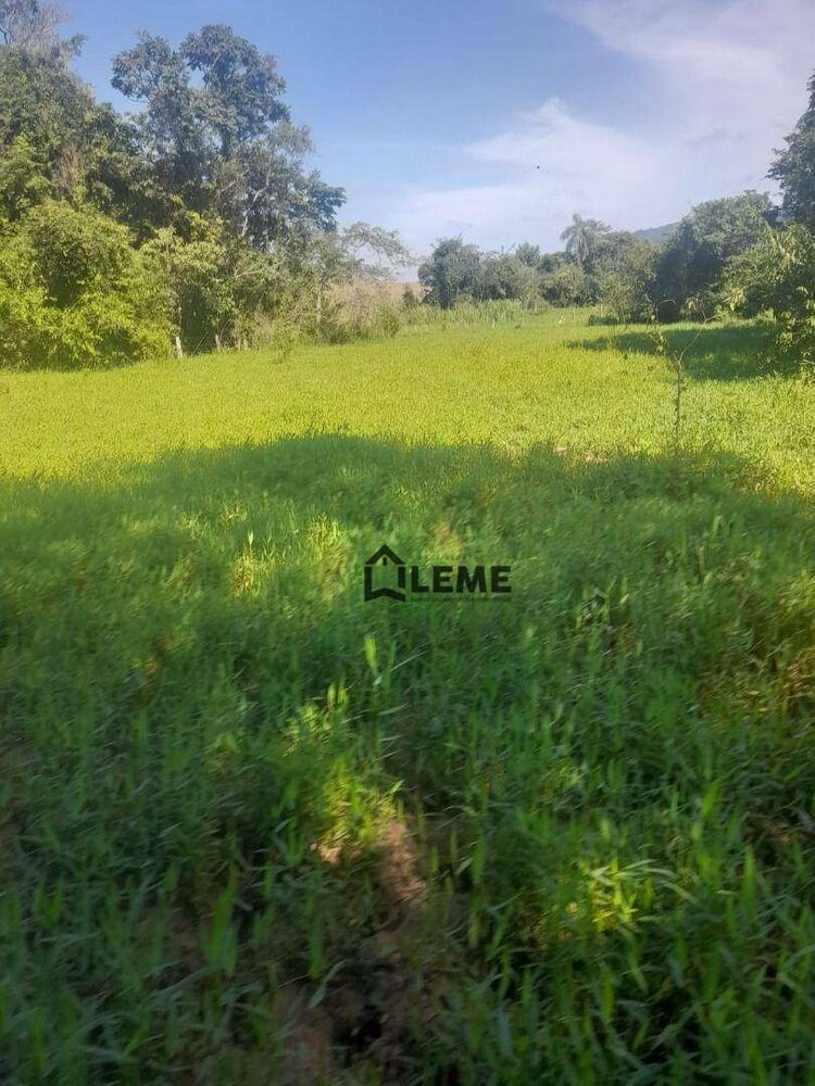 Sítio, 4 hectares - Foto 4