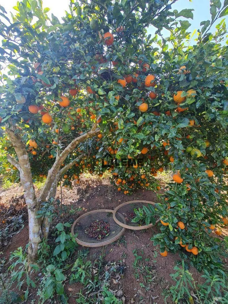 Sítio, 2 quartos, 7 hectares - Foto 4