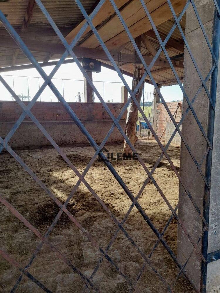 Sítio, 12 hectares - Foto 2