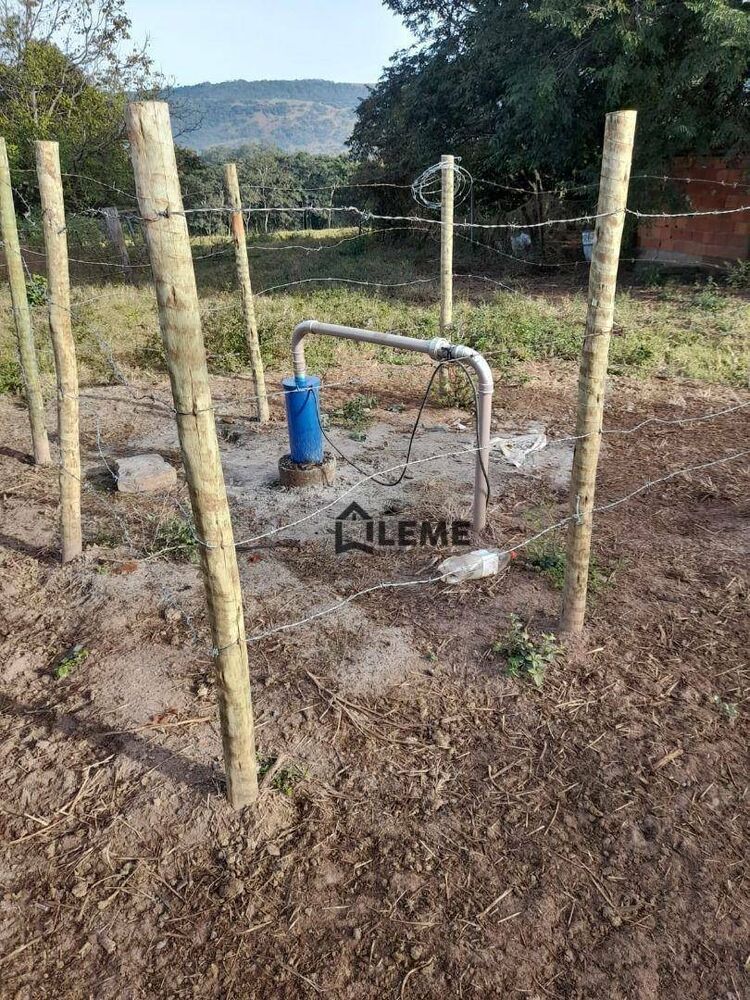 Sítio, 12 hectares - Foto 6