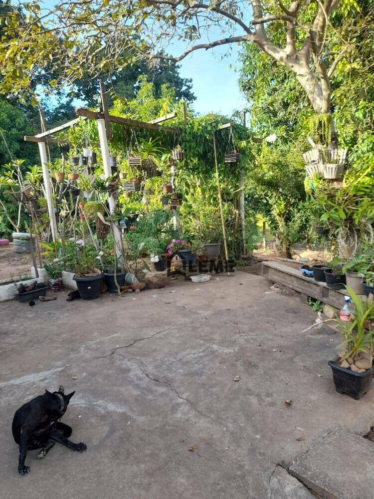 Sítio, 12 hectares - Foto 5