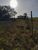Sítio, 12 hectares - Foto 3
