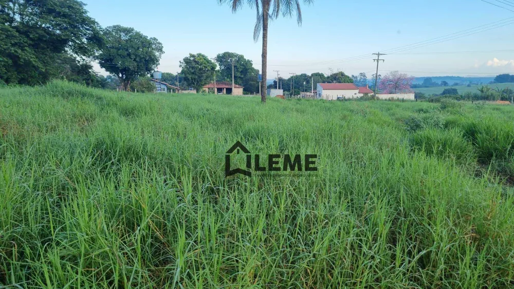 Sítio, 51 hectares - Foto 4
