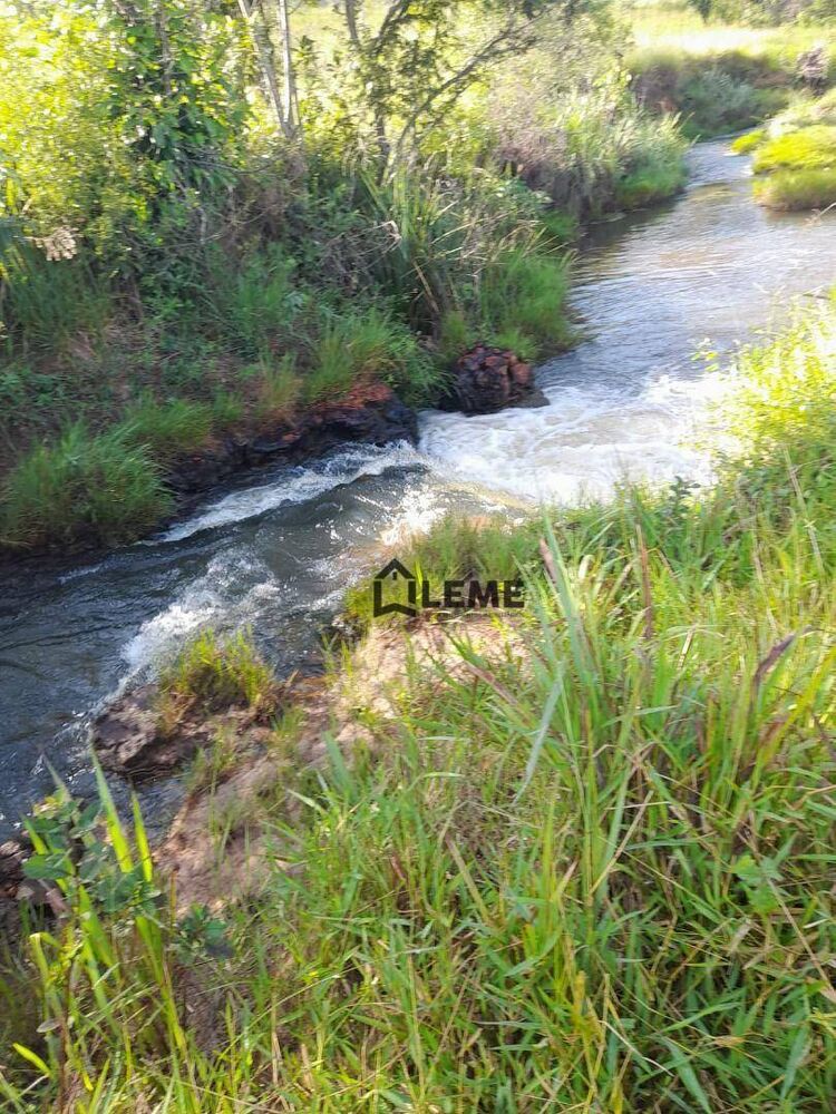 Sítio, 140 hectares - Foto 7