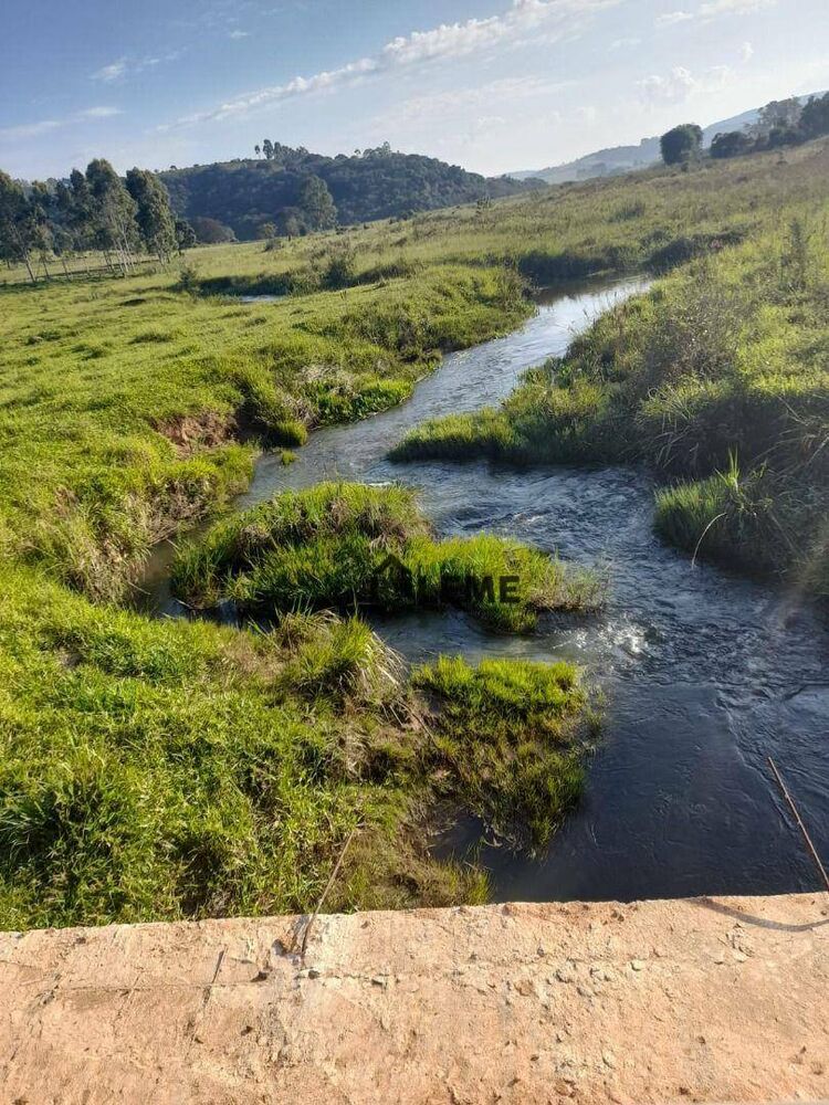 Sítio, 140 hectares - Foto 6