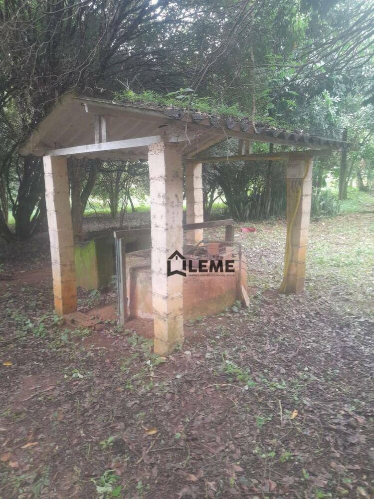 Sítio, 3 hectares - Foto 4