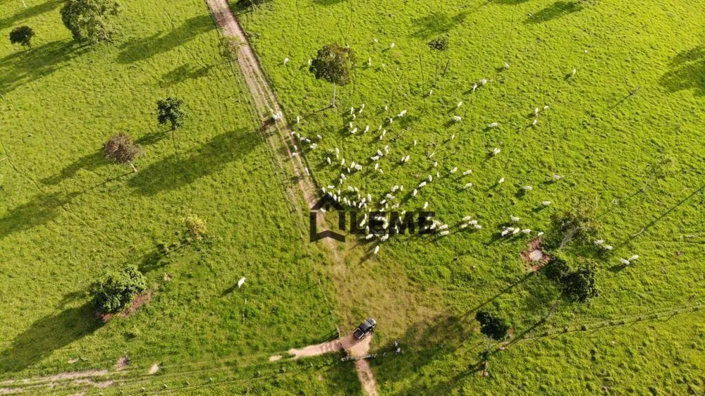 Fazenda, 2700 hectares - Foto 3