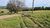 Sítio, 44 hectares - Foto 4