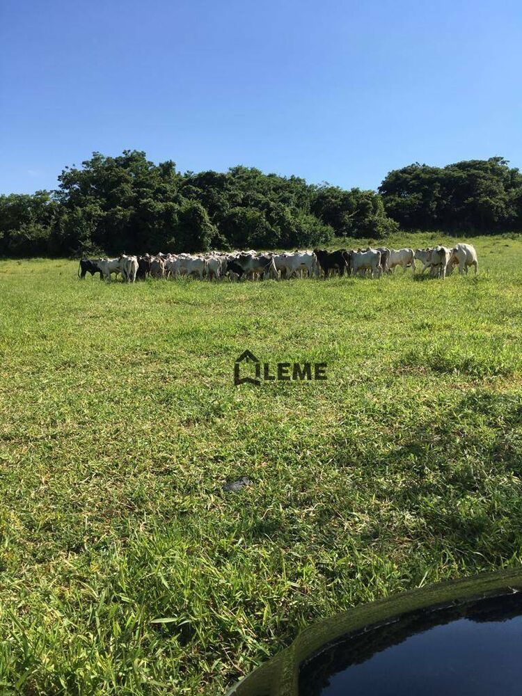 Sítio, 17 hectares - Foto 3