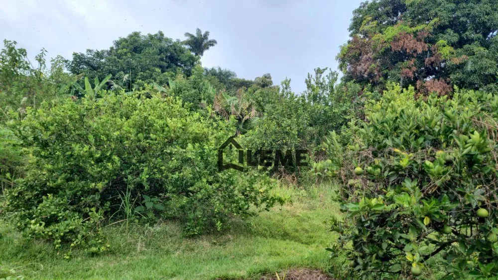 Chácara, 2 quartos, 3000 m² - Foto 18