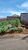 Terreno, 200 m² - Foto 1