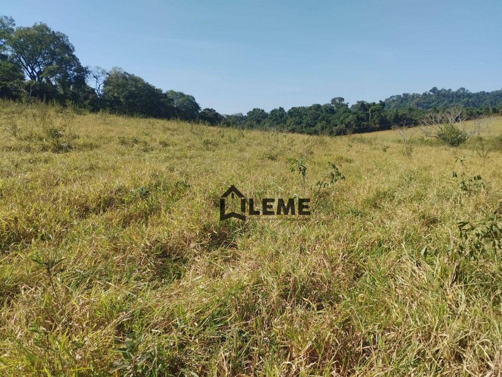 Sítio, 51 hectares - Foto 6