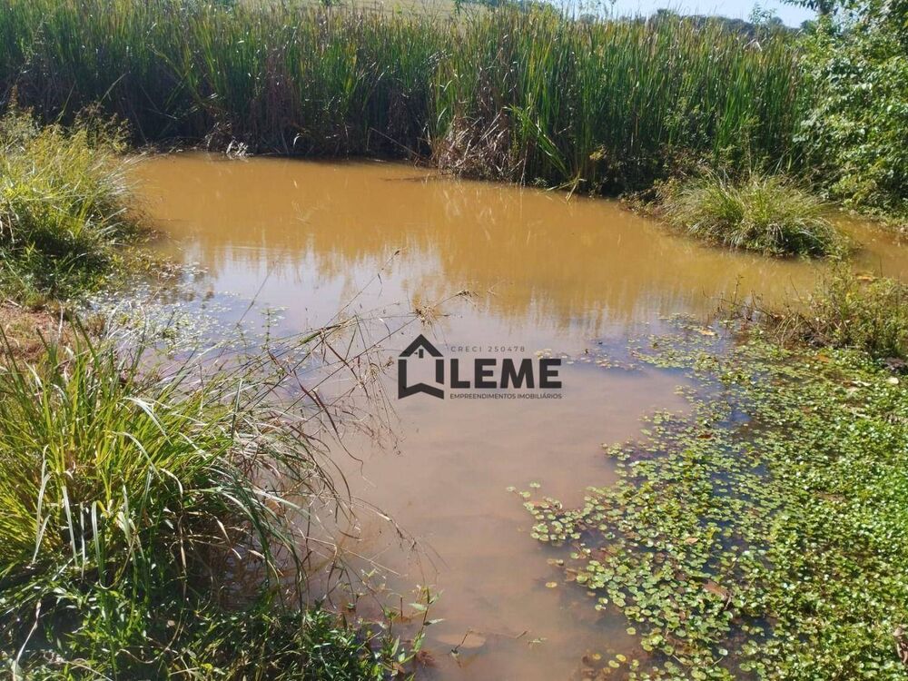 Sítio, 51 hectares - Foto 3