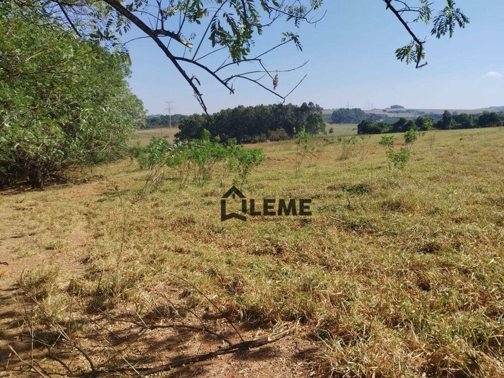 Sítio, 51 hectares - Foto 5