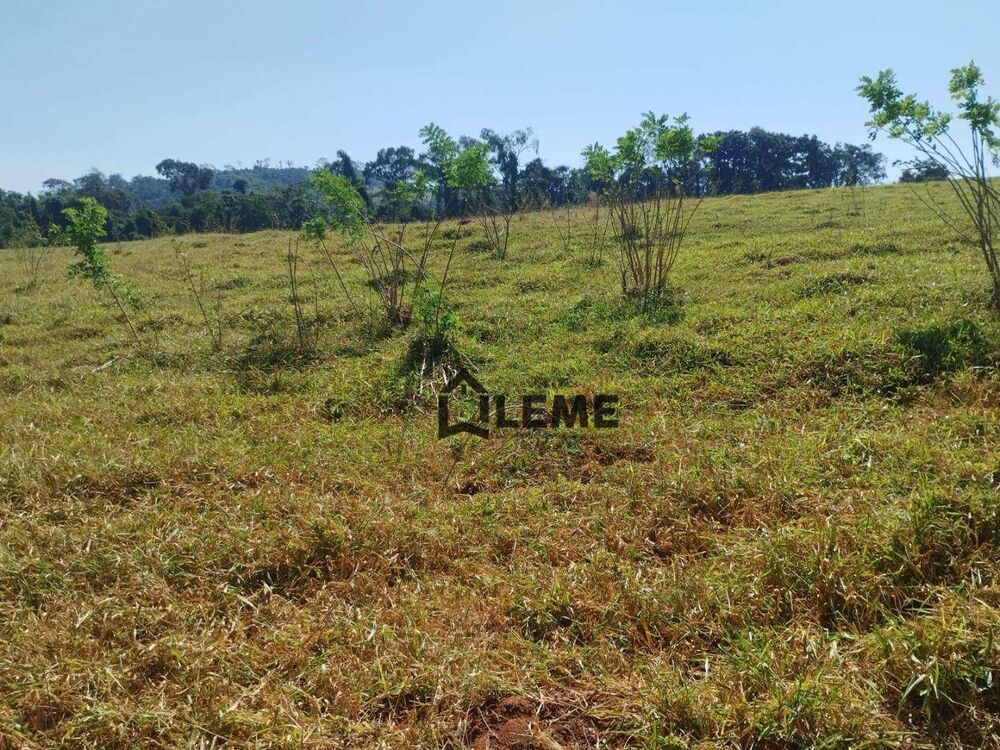 Sítio, 51 hectares - Foto 4