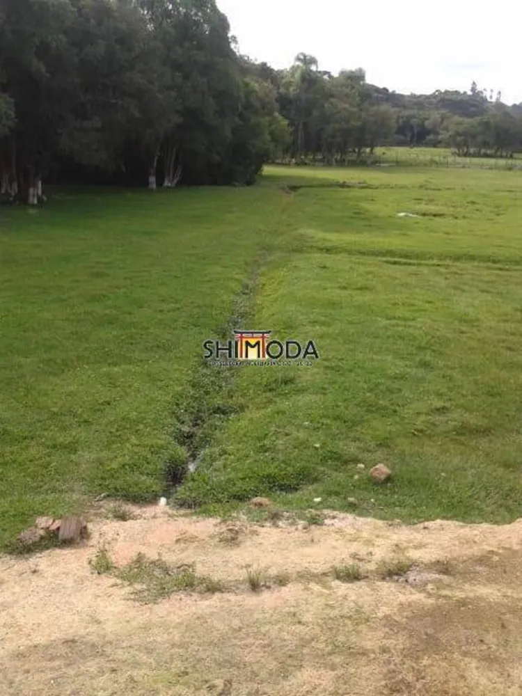 Terreno, 2 hectares - Foto 7
