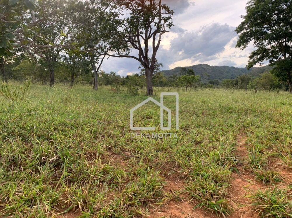Fazenda, 2121770 hectares - Foto 2