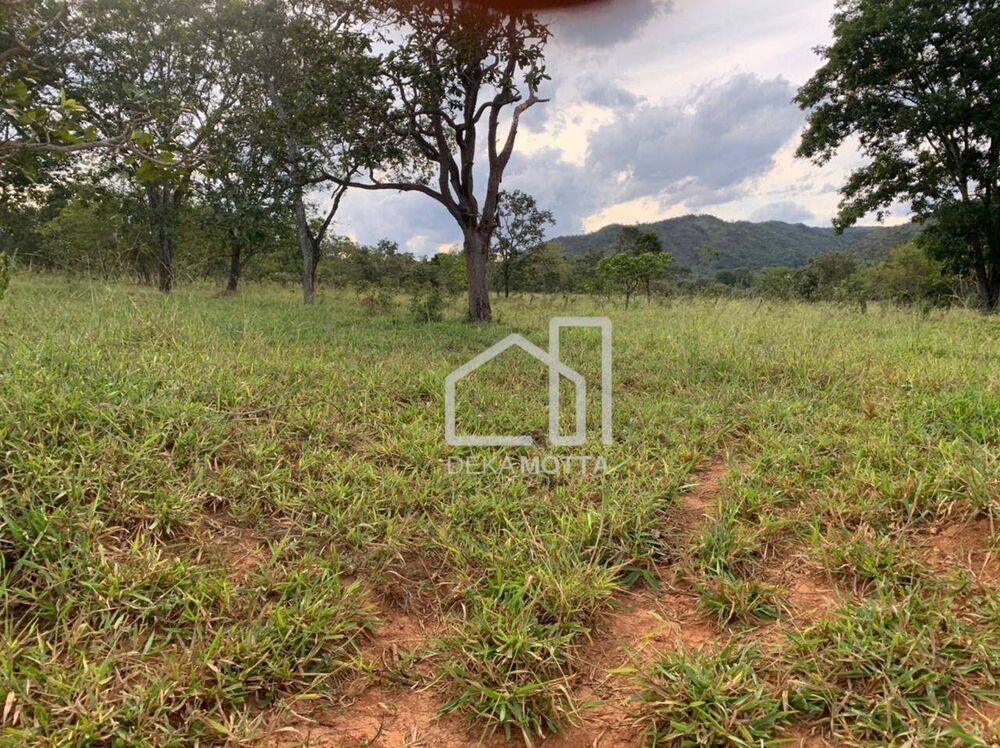 Fazenda, 2121770 hectares - Foto 8